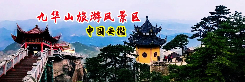 美女操逼网络入口